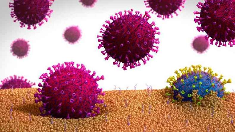 Governo de SP conclui estudo sobre variantes do novo coronavírus no Estado